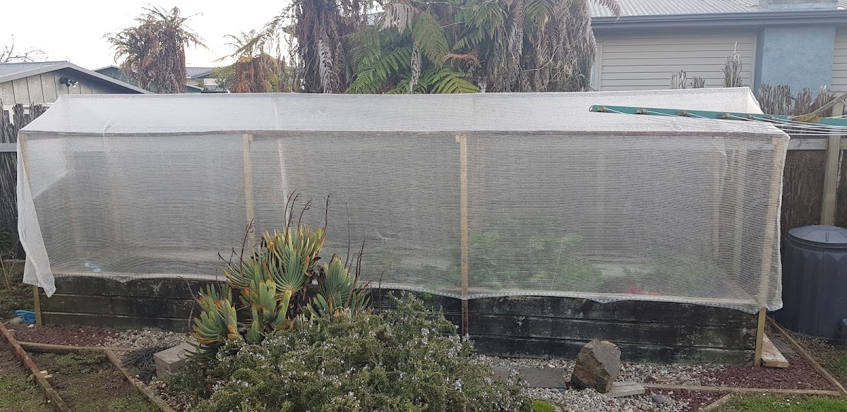 Custom shade net greenhouse built over garden beds by Peacock Lawn and Garden Care