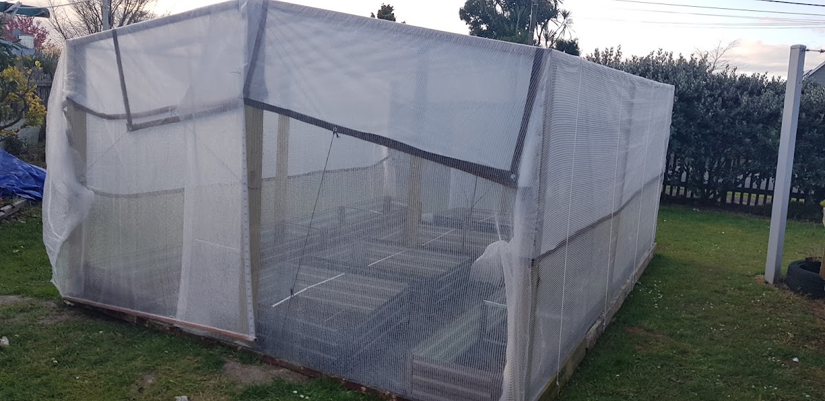 Large custom greenhouse frame with raised beds built by Peacock Lawn and Garden Care